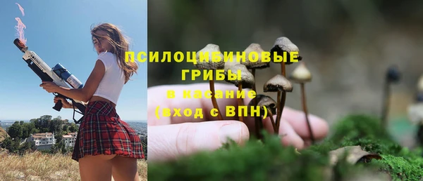 ECSTASY Арсеньев