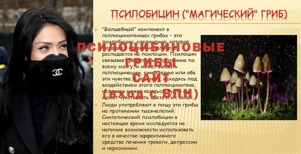 ECSTASY Арсеньев