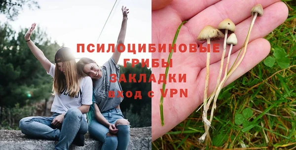 ECSTASY Арсеньев